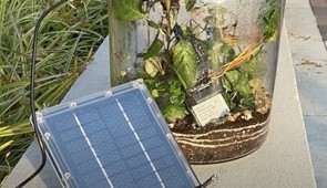 Using Battery-free MakeCode to build a smart terrarium powered by solar energy.