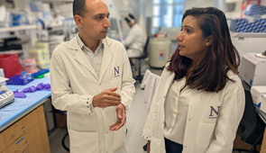 Study authors Abdel-Mohsen and Pratima Saini in Abdel-Mohsen's lab