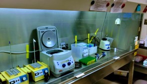 A look inside the COVID-19 testing site at Northwestern University Feinberg School of Medicine. (Photo credit: Xinkun Wang, Northwestern University)