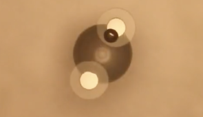 Emergent periodic beating of two identical particles