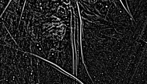 Close-up of a structure resembling a waterfall. Magnetic filaments appear in pairs and clusters, side by side with equal spacing between them.