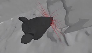 Gif showing a simulated rat actively whisking in the WHISKiT model.