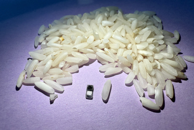 The new tiny pacemaker next to a grain of rice with a pile of rice in the background
