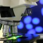 A microscope