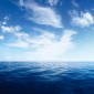 The ocean