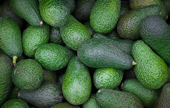 What do electric cars and avocados have in common?