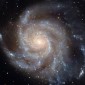 A Milky Way-like galaxy