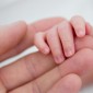 An adult hand and a baby's hand