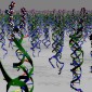 DNA-peptide hybrids