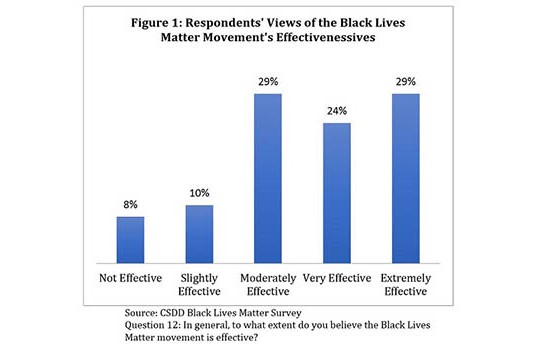 Northwestern poll: Most African-Americans view Black Lives Matter as an  effective movement - Northwestern Now