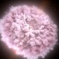 Neutron stars collide