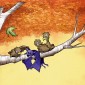 An illustration of "Stellaluna" shows three brown birds on a tree branch with a purple bat.