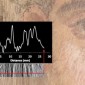 A closeup of the mummy portrait with a graph on top