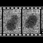 Time-lapse of a nanoparticle-nanoparticle (micelle-micelle) fusion event occurring in water at the nanoscale (videoed by liquid-cell transmission electron microscopy, LCTEM)