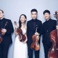 Rolston Quartet by Tianxiao Zhang