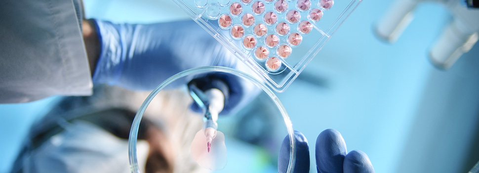 Lab worker