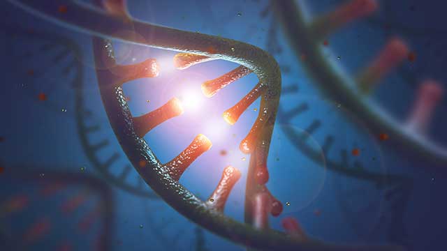 DNA