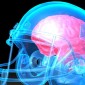 Brain in helmet