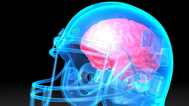 Brain in helmet