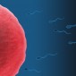transgender fertility preservation
