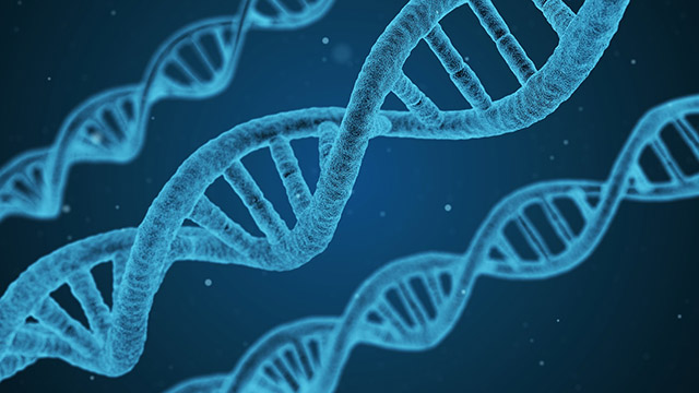 image of DNA strand