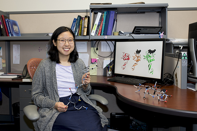 Jenny Liu works with protein models 