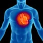 Illustrated image of a person's heart