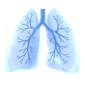 Artificial intelligence for lung cancer