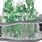particulate methane monooxygenase