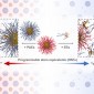 electron equivalent metallicity