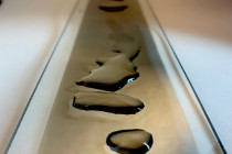 Drops of water on a film.