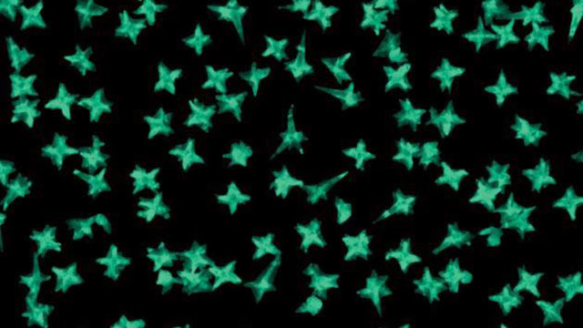 gold nanostars nanoparticles gold nanostars nanoparticles