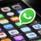 whatsapp brazil