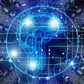 Brain