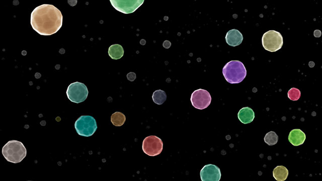 catalyst nanoparticles