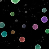 catalyst nanoparticles