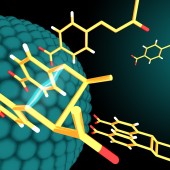 Nanoparticle catalysts and light drive a reaction that produces bioactive molecules.