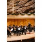 Bienen School of Music's Northwestern University Chamber Orchestra. Photo by Noah Frick-Alofs