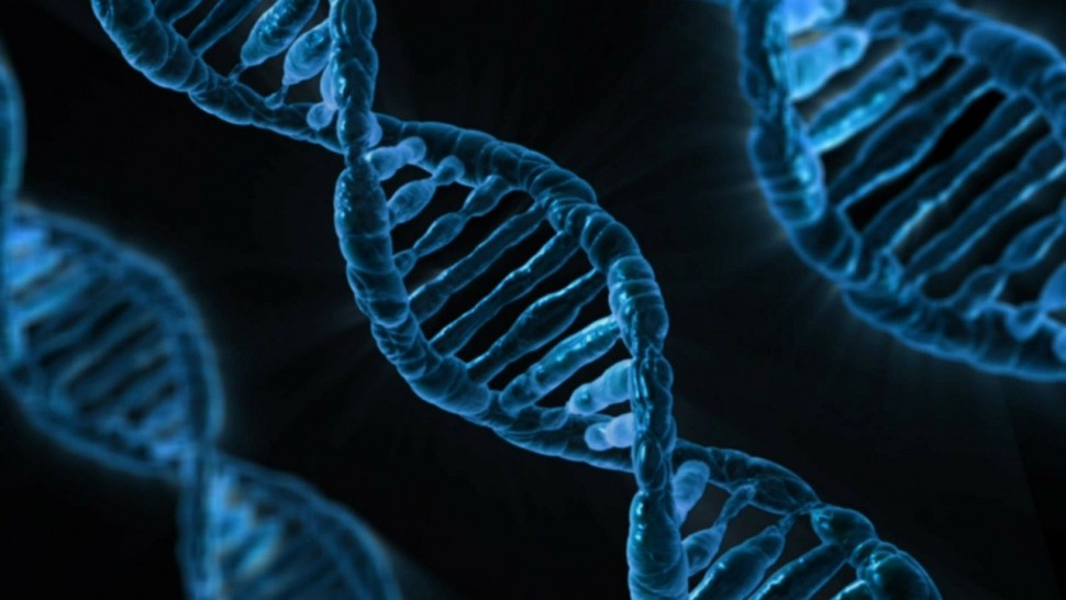 Illustration image of DNA