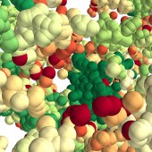 chromatin forest