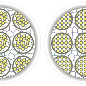 chromatin