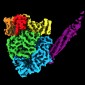 paramyxovirus