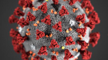 COVID-19 virus