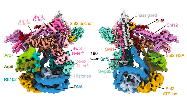 chromatin map