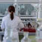 Image of researcher in a lab