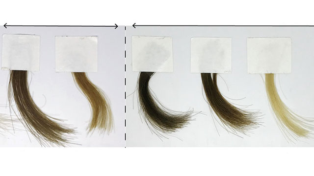 Gentler, safer hair dye based on synthetic melanin - Northwestern Now