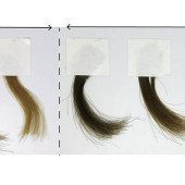 Gianneschi synthetic hair dye