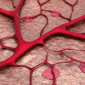 Heart disease, racial disparities and COVID-19
