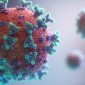 covid-19 therapeutics