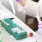 females still an afterthought in research